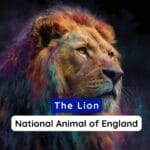 National Animal of England