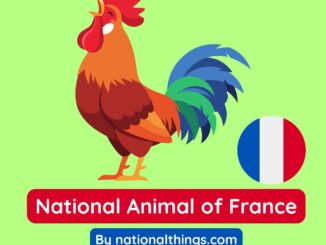 National Animal of France