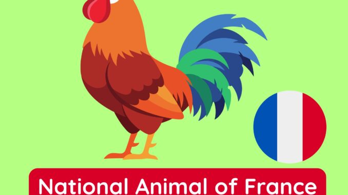 National Animal of France