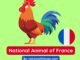 National Animal of France