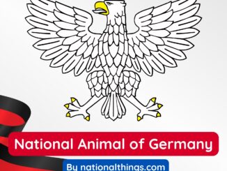 National Animal of Germany