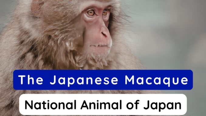 National Animal of Japan