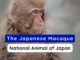National Animal of Japan