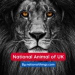 National Animal of UK