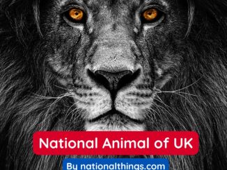 National Animal of UK