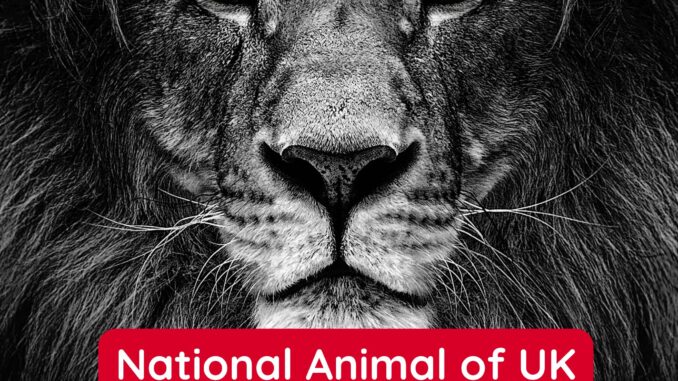 National Animal of UK
