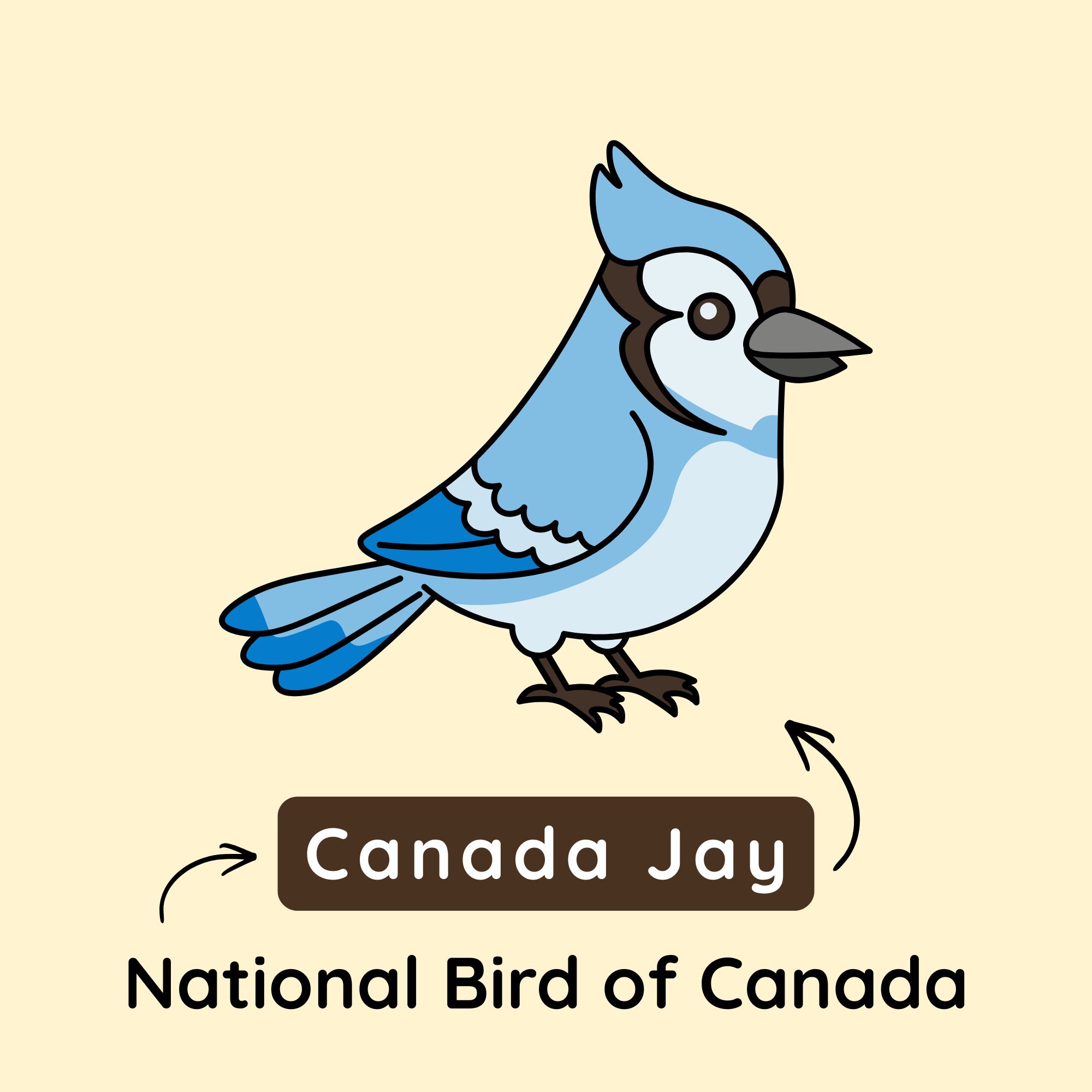 National Bird of Canada