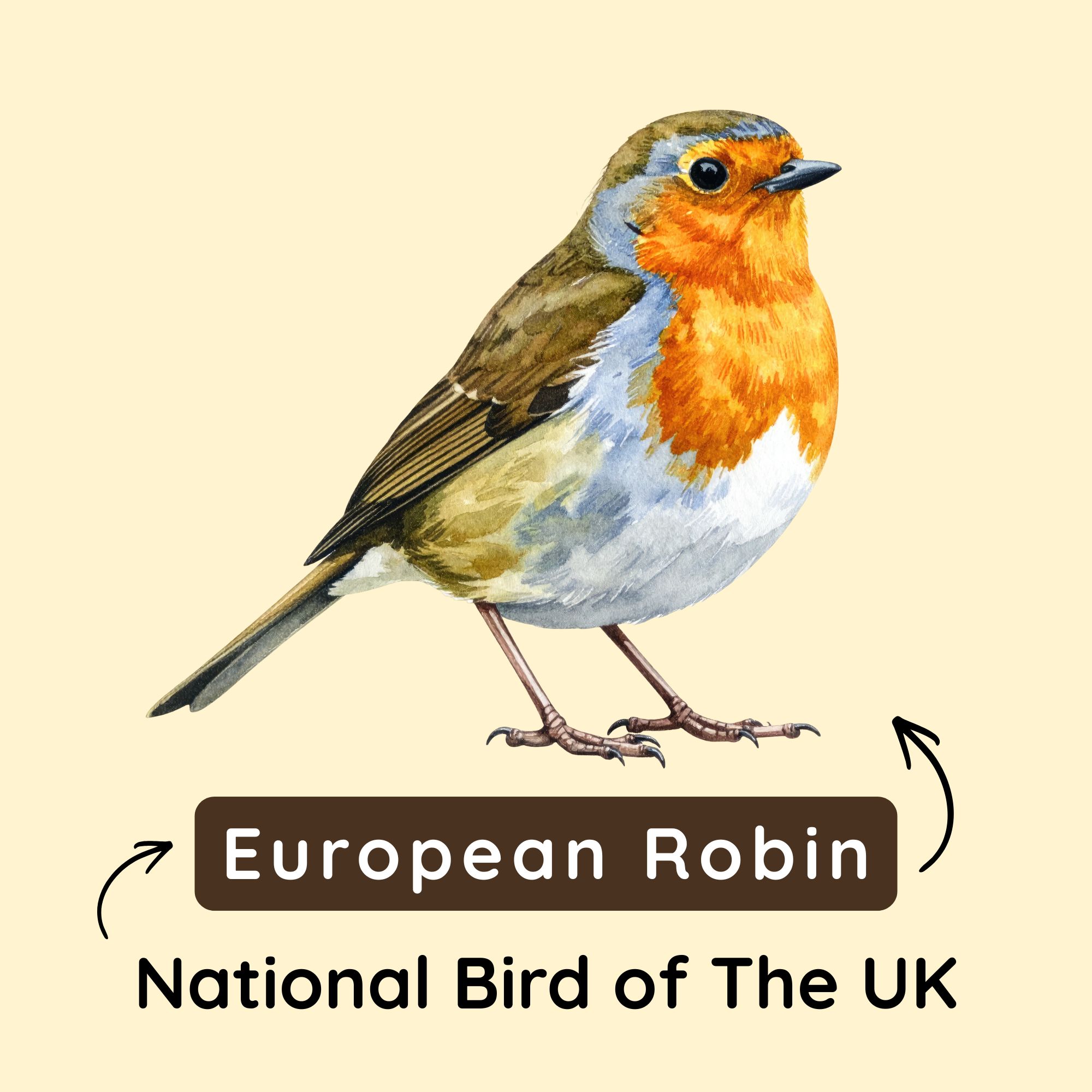 National Bird of The UK