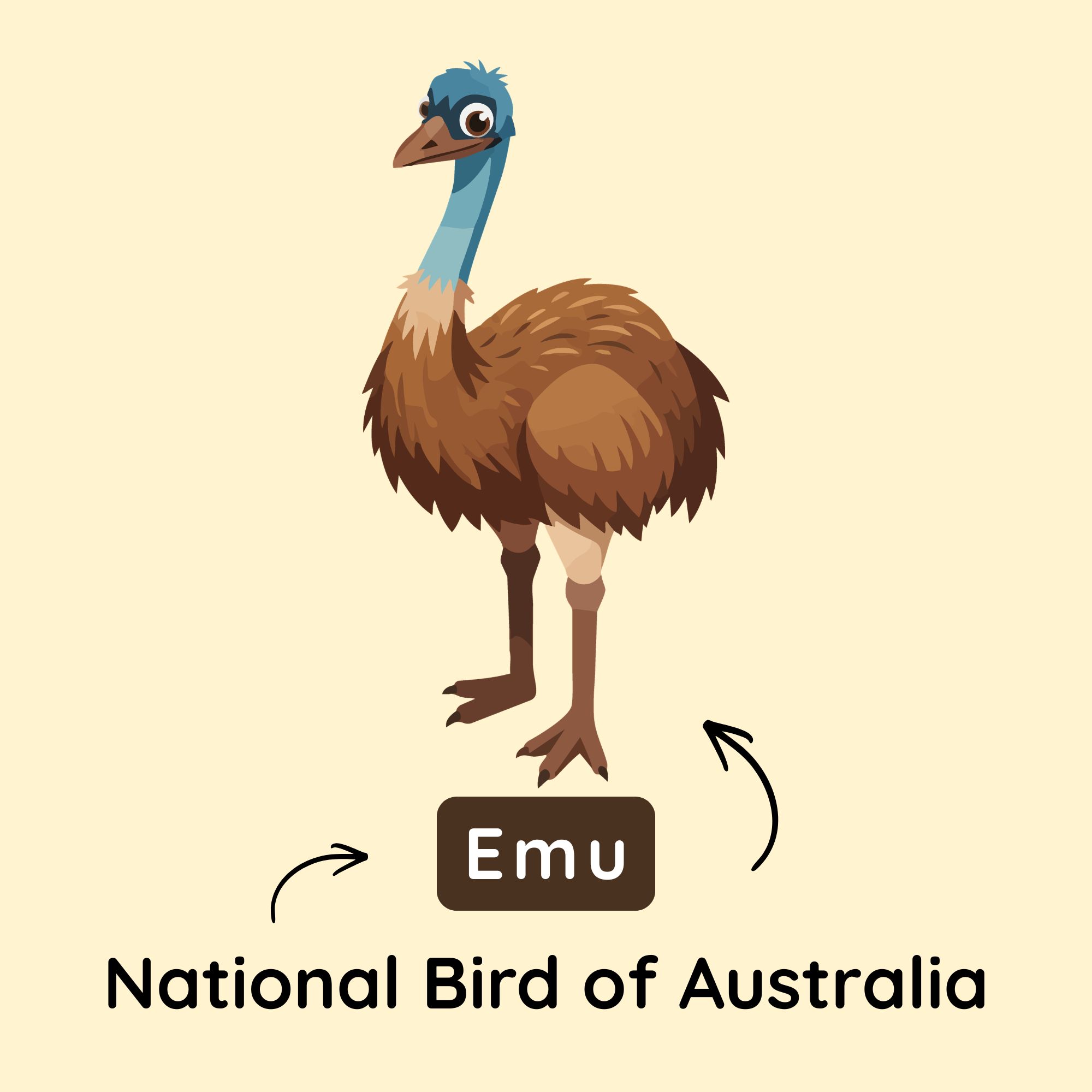 National Birds of Australia