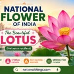 National Flower of India Explained with Meanings and History
