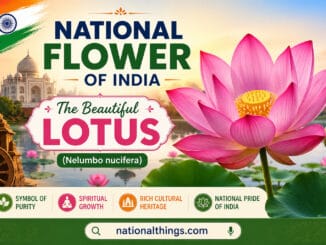 National Flower of India Explained with Meanings and History