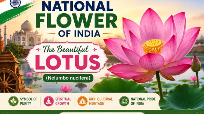National Flower of India Explained with Meanings and History