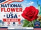 National Flower of USA Explained with Meanings and Facts