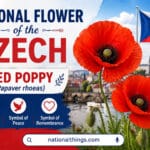 National Flower of the Czech Republic