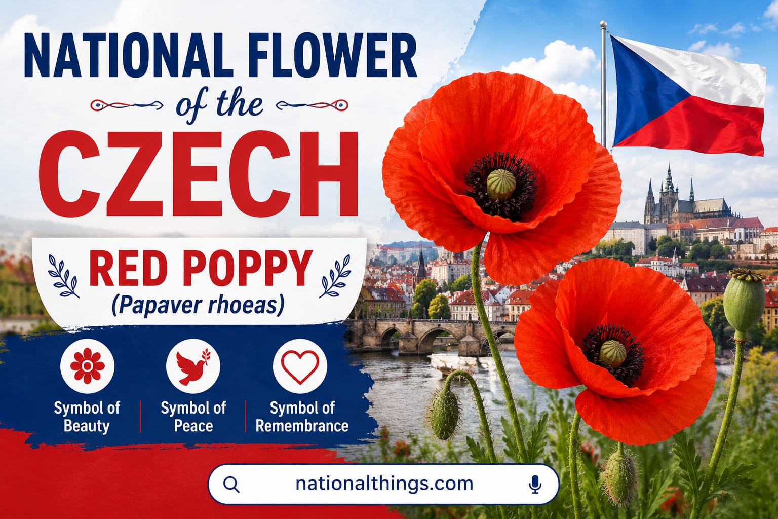 Czech National Flower: Symbol of Beauty and Tradition