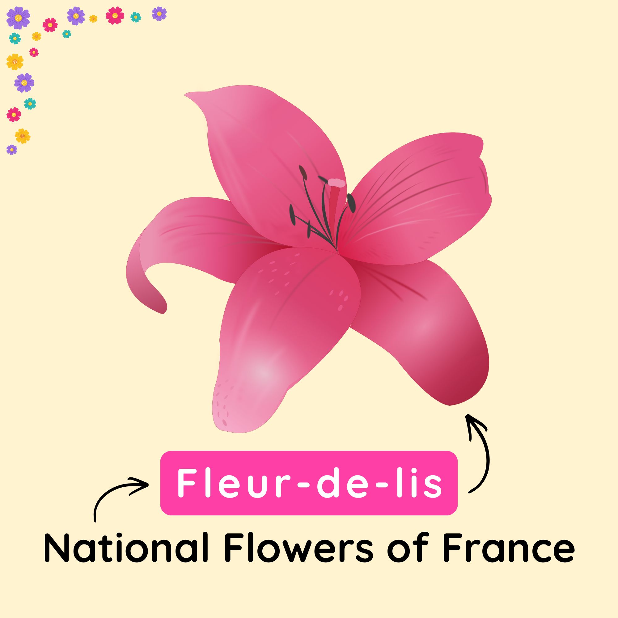 National Flowers of France