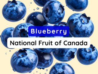 National Fruit of Canada