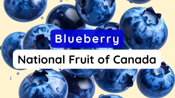 National Fruit of Canada
