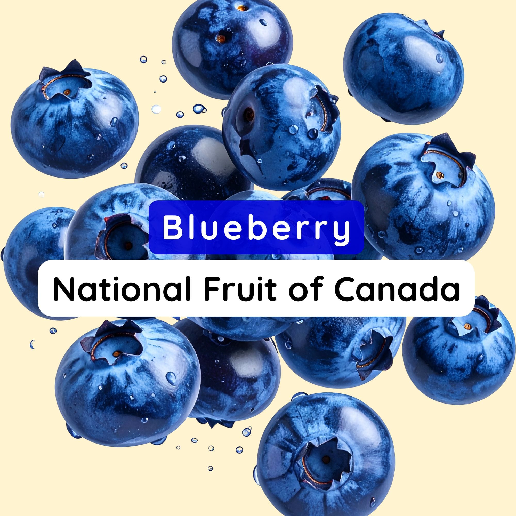 National Fruit of Canada – Interesting History and Facts