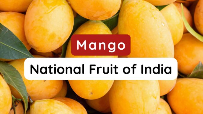 National Fruit of India