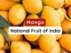 National Fruit of India