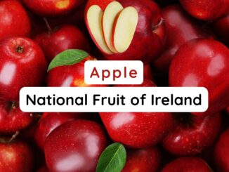 National Fruit of Ireland