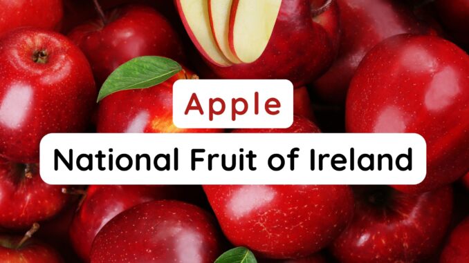 National Fruit of Ireland