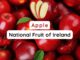 National Fruit of Ireland