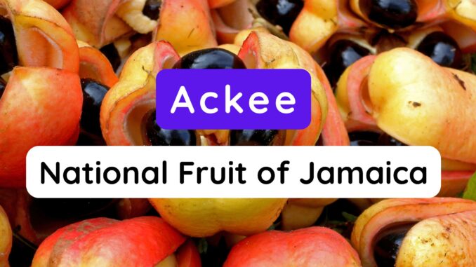 National Fruit of Jamaica