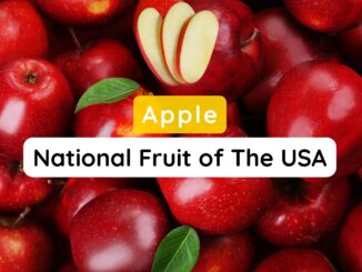 National Fruit of The USA
