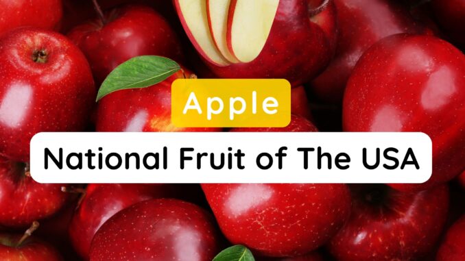 National Fruit of The USA