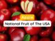 National Fruit of The USA