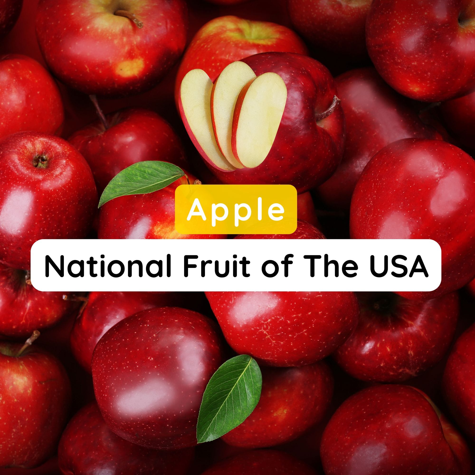 National Fruit of The USA: Interesting History and Facts