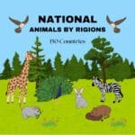 Countries and Their National Animals