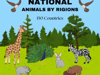 Countries and Their National Animals