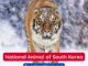 Siberian Tiger is the National Animal of South Korea