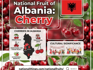 The National Fruit of Albania is Cherry