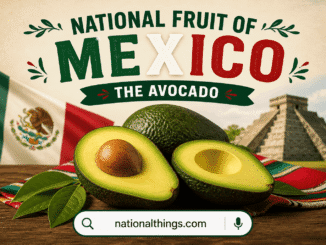 What is the National Fruit of Mexico
