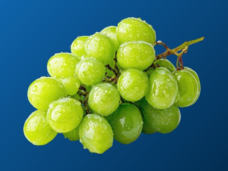 Airén Grapes