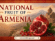 National Fruit of Armenia is the Pomegranate