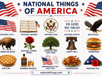 National Things of America