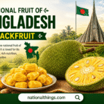 What is the National Fruit of Bangladesh