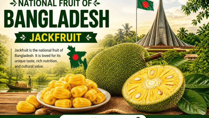 What is the National Fruit of Bangladesh