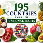 195 Countries and Their National Fruits