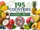 195 Countries and Their National Fruits