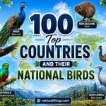 100 Countries and Their National Birds
