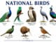List of National Birds