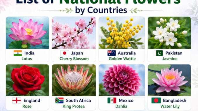 List of National Flowers by Countries