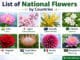 List of National Flowers by Countries