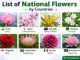 List of National Flowers by Countries